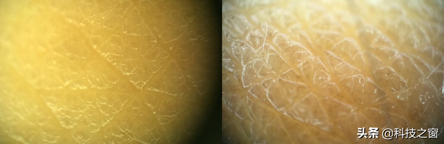 放大20000倍显微镜,夹在手机上的显微镜如何验钞