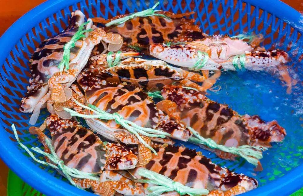 宁波一渔民整理海鲜大全,宁波最全的海鲜