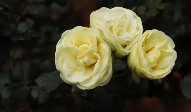 每天学习一点点女性小常识,每天学习一点点科普一下