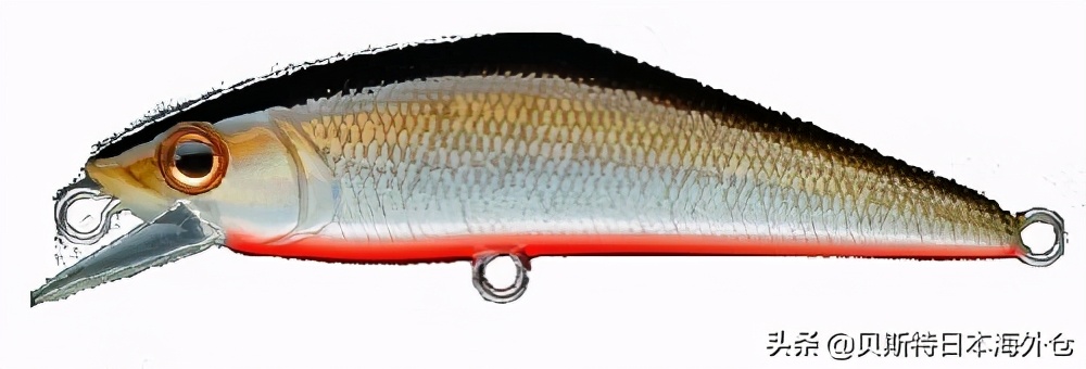 日本最好的海钓渔具,海钓装备品牌排行榜前十名