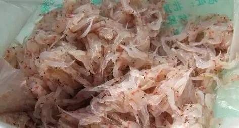 海鲜大全,最全海鲜冷知识