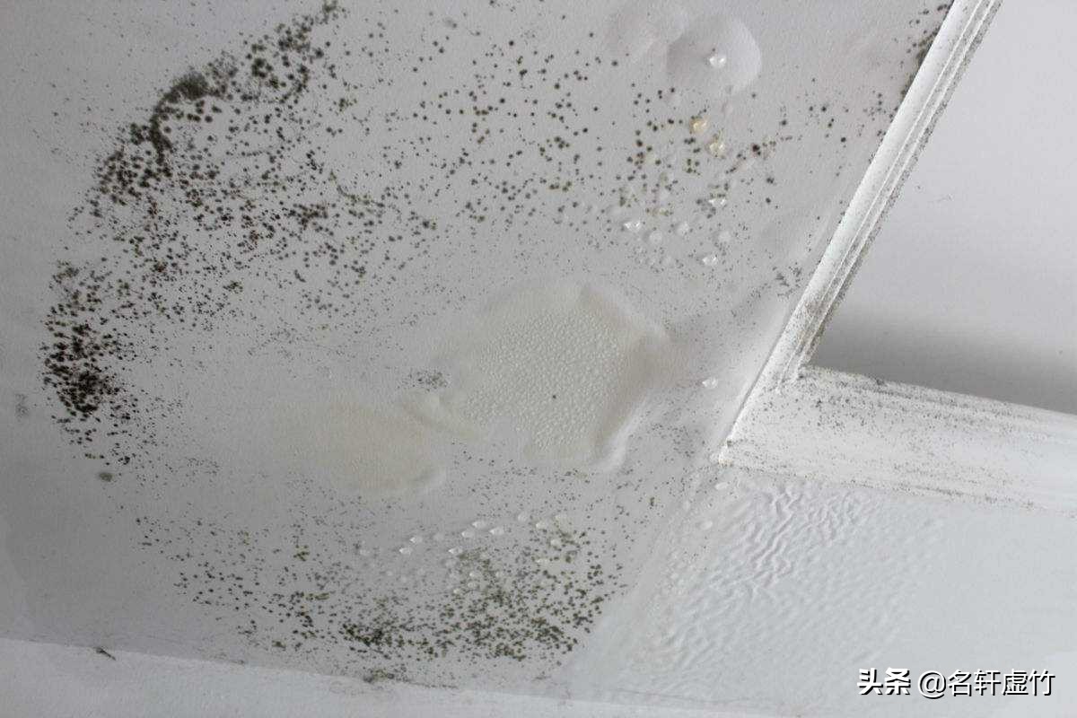 天花板墙体脱皮是什么原因,天花板发霉空鼓起皮什么原因