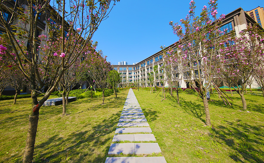 重庆市各区县最好高中,重庆最顶级的高中学校