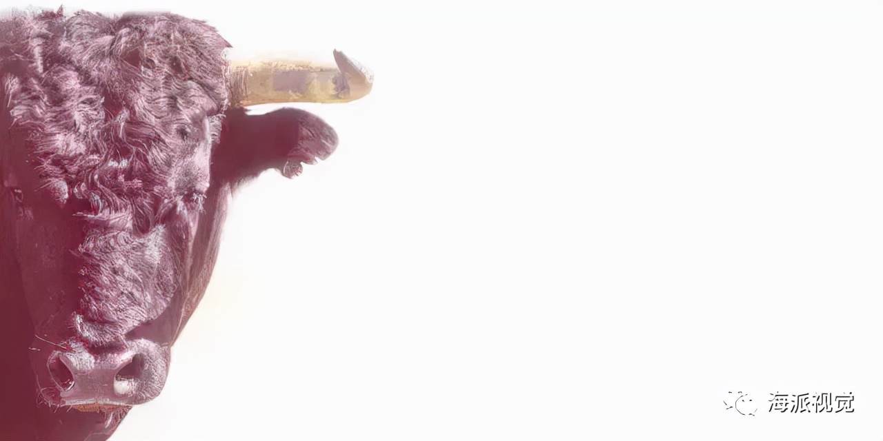 logo设计灵感网站,设计logo灵感网站