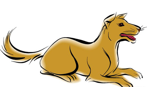 十二生肖哪个月份出生的人命最好,十二生肖几月出生最好最有福气