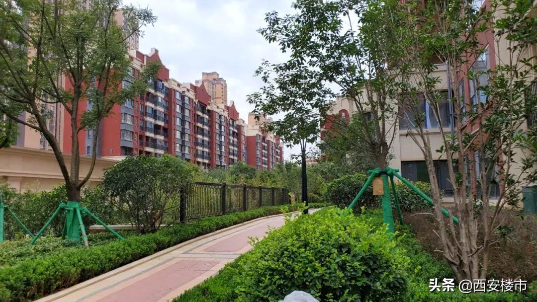 南湖艺境一期,南湖艺境大事