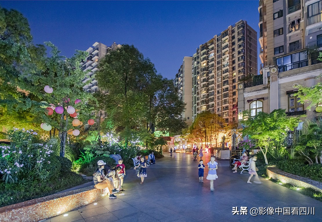 成都最美榕树街,成都鹭岛步行街商铺出售