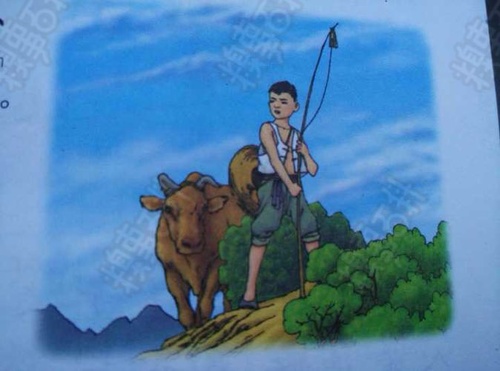 曾老师讲故事：初中语文学习（4）之病句类型及修改技巧