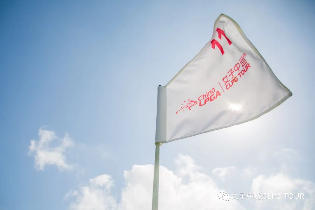 张维为锦标赛,张维为冠军