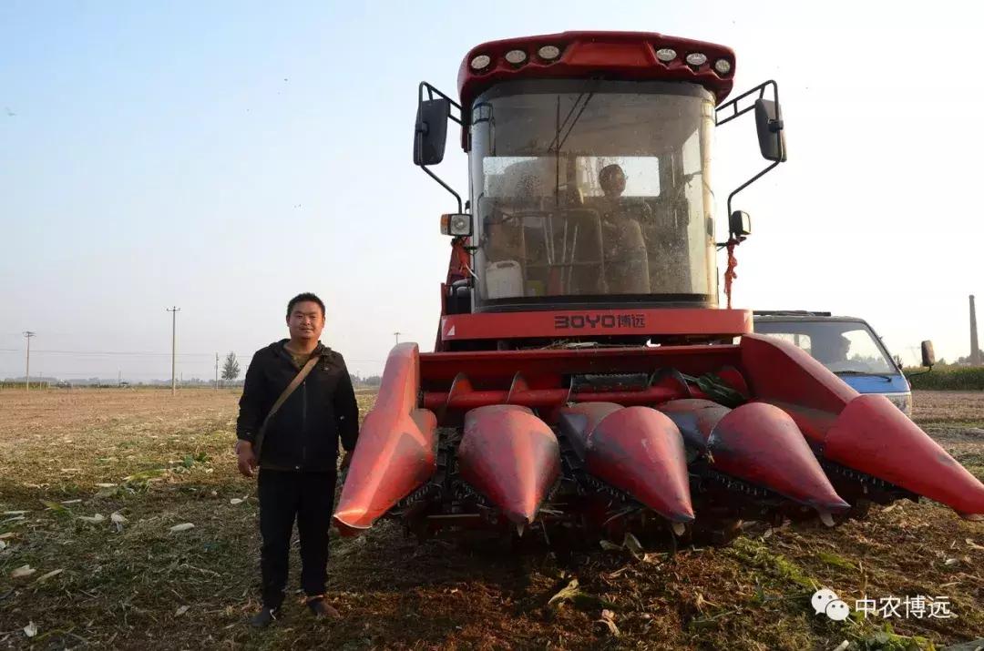 保定自走玉米脱粒机,河北保定大型玉米收获机