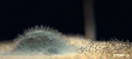 家里洗手台变黑发霉怎么办,洗手台霉菌怎么去除最快最有效