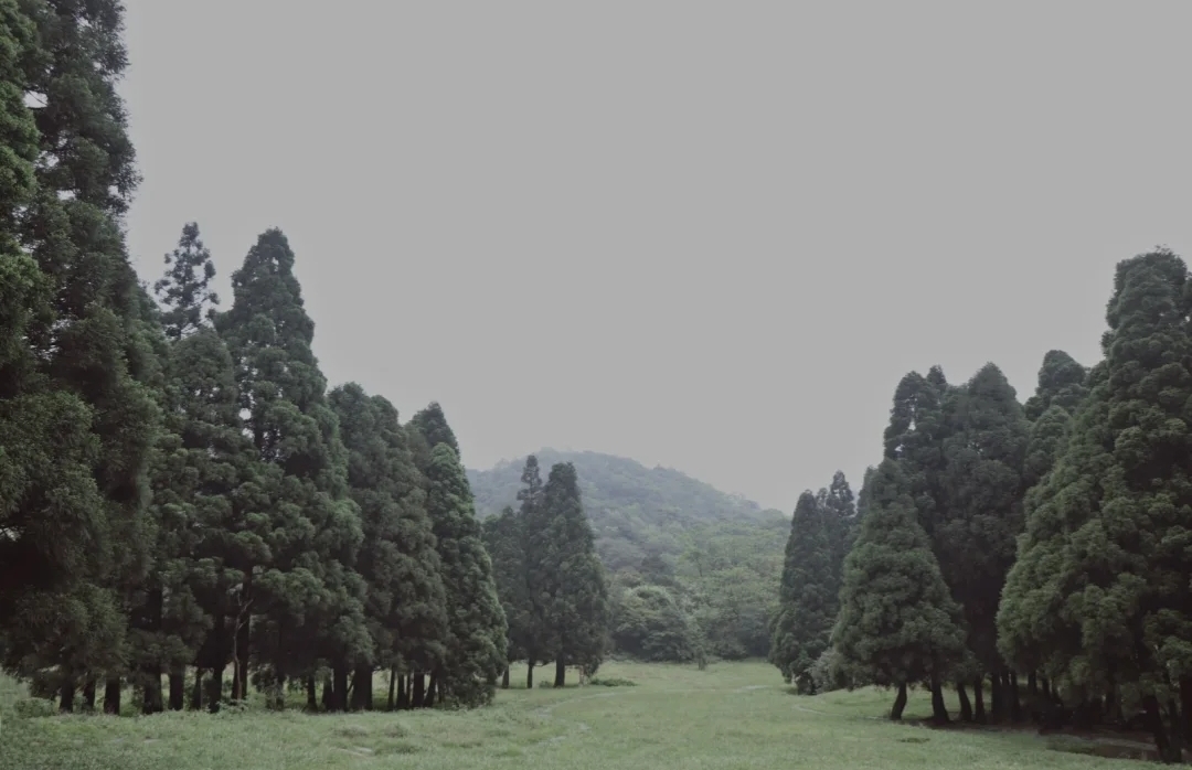 广西森林露营最佳的十大地点,大容山国家森林公园游玩攻略露营