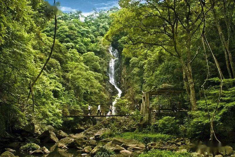 乡村振兴|畅游三叠奇景，慢享仁洲时光