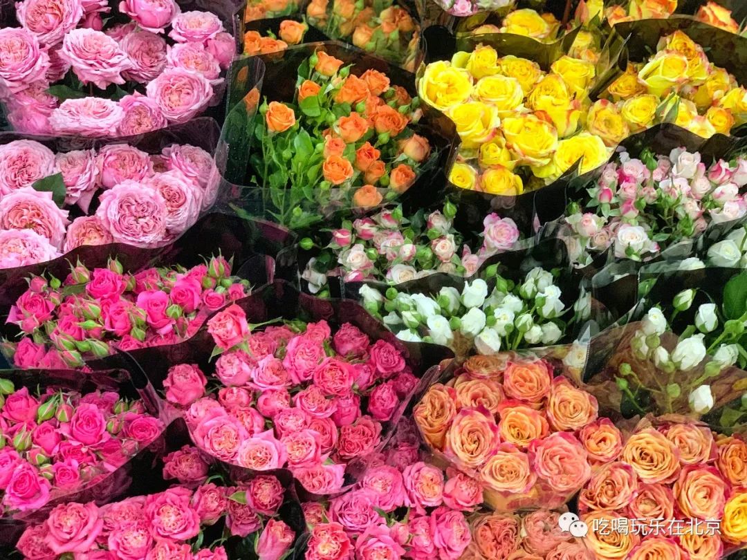 北京崇文区西花市大街,北京通州花市在哪里