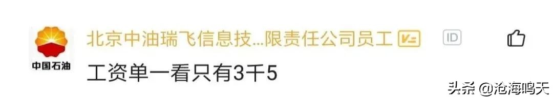 国企程序员都做什么的呀,国企程序员都做什么工作