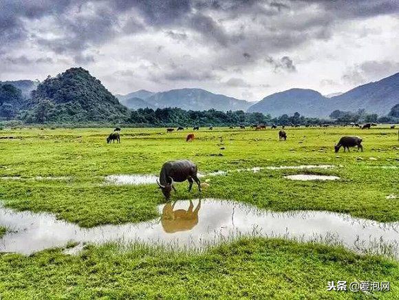 广东粤北最美公路,粤北最美的国道是哪条线