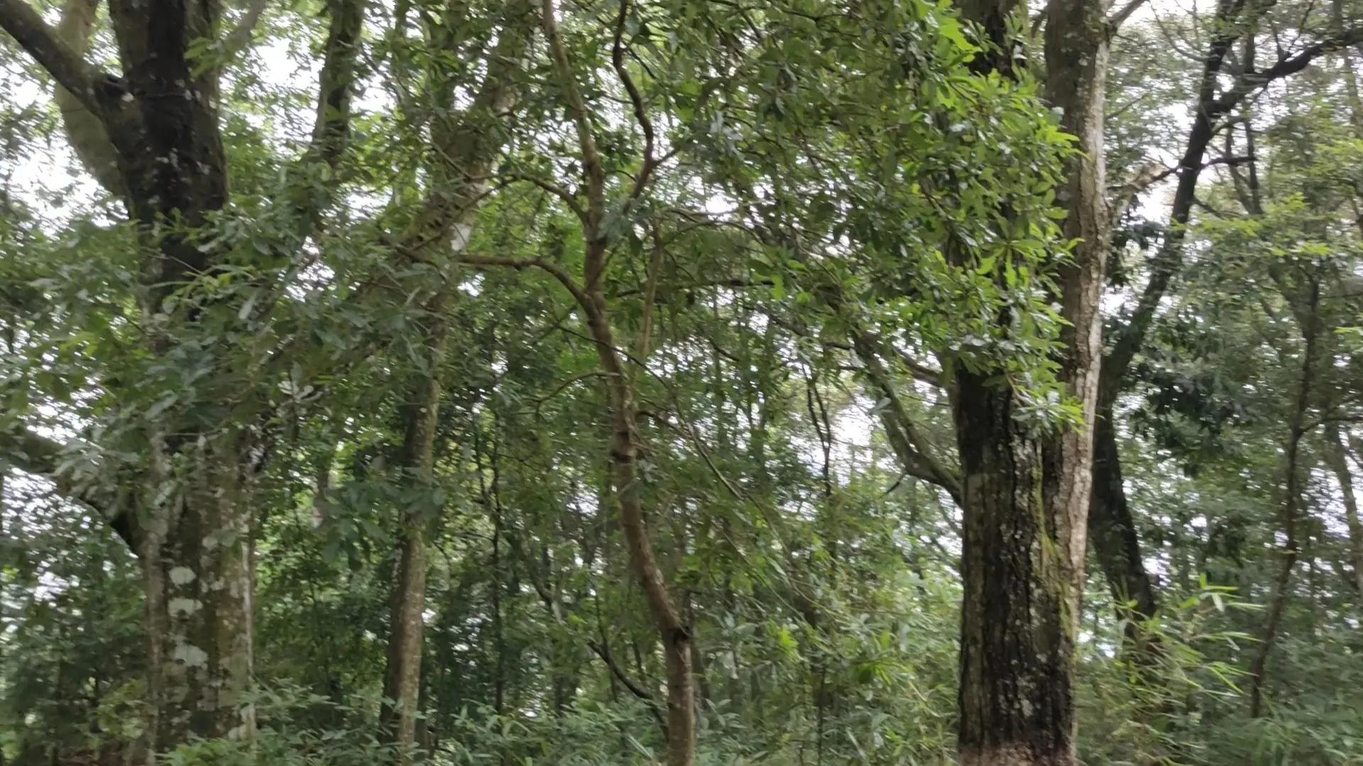 登上绝壁悬崖感受一览众山小,登上泰山之巅的感觉