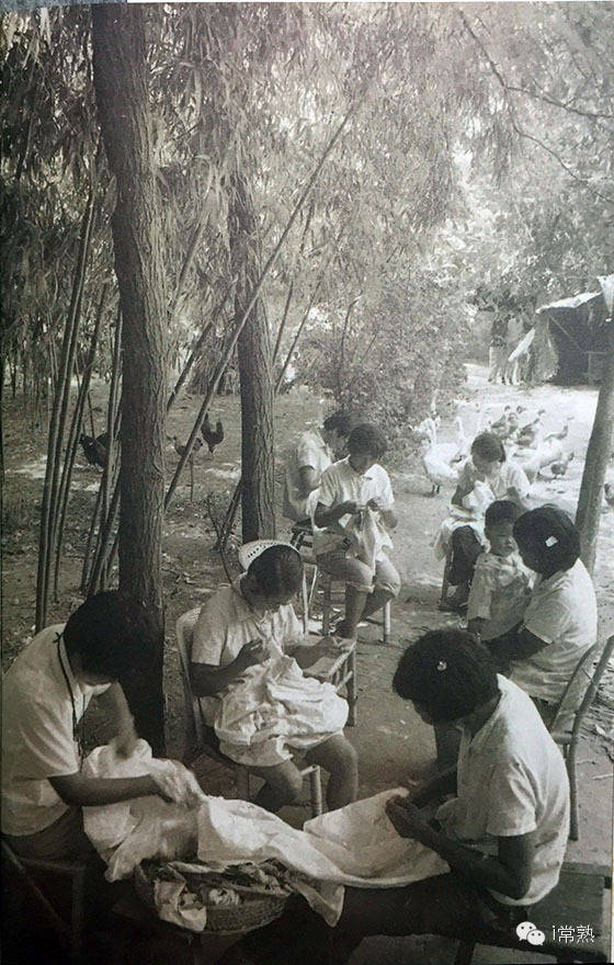 常熟记忆之：指尖传奇常熟花边百年兴衰