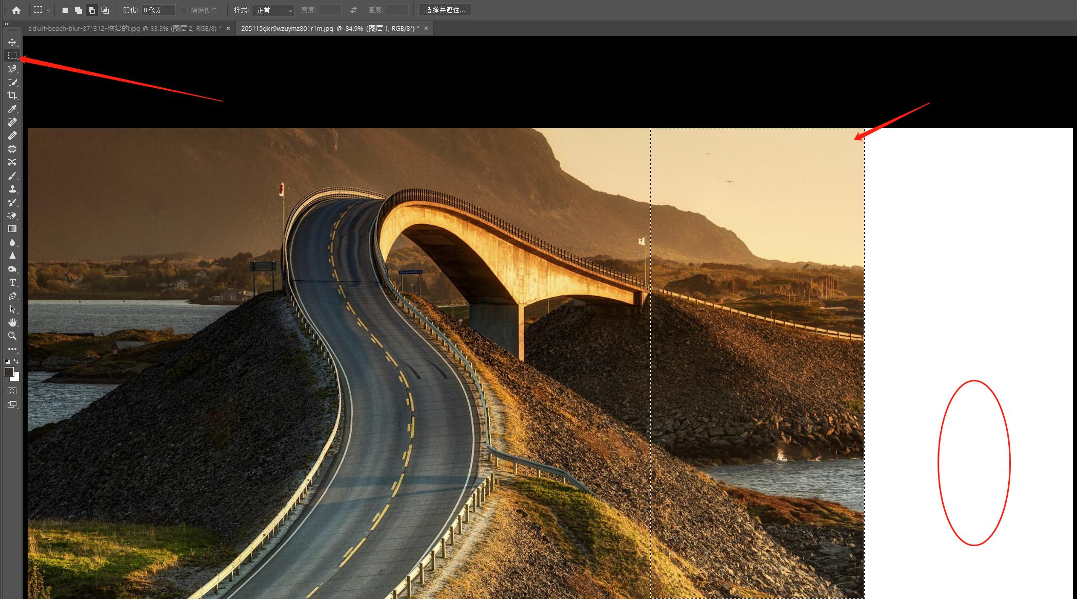 ps入门基础教学快速选区,ps中快速选择工具如何确立选区
