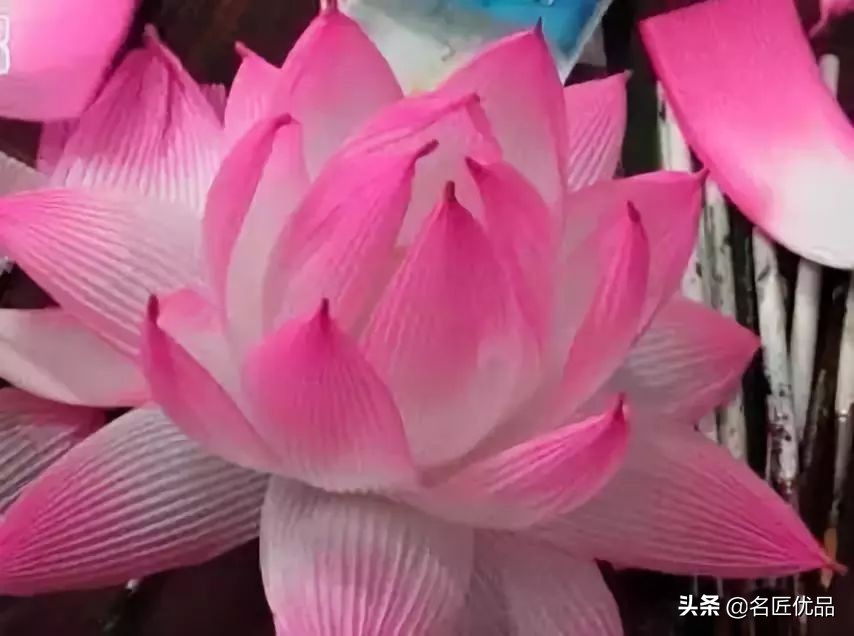 手工制作荷花睡莲,夏天的荷花手工小朋友