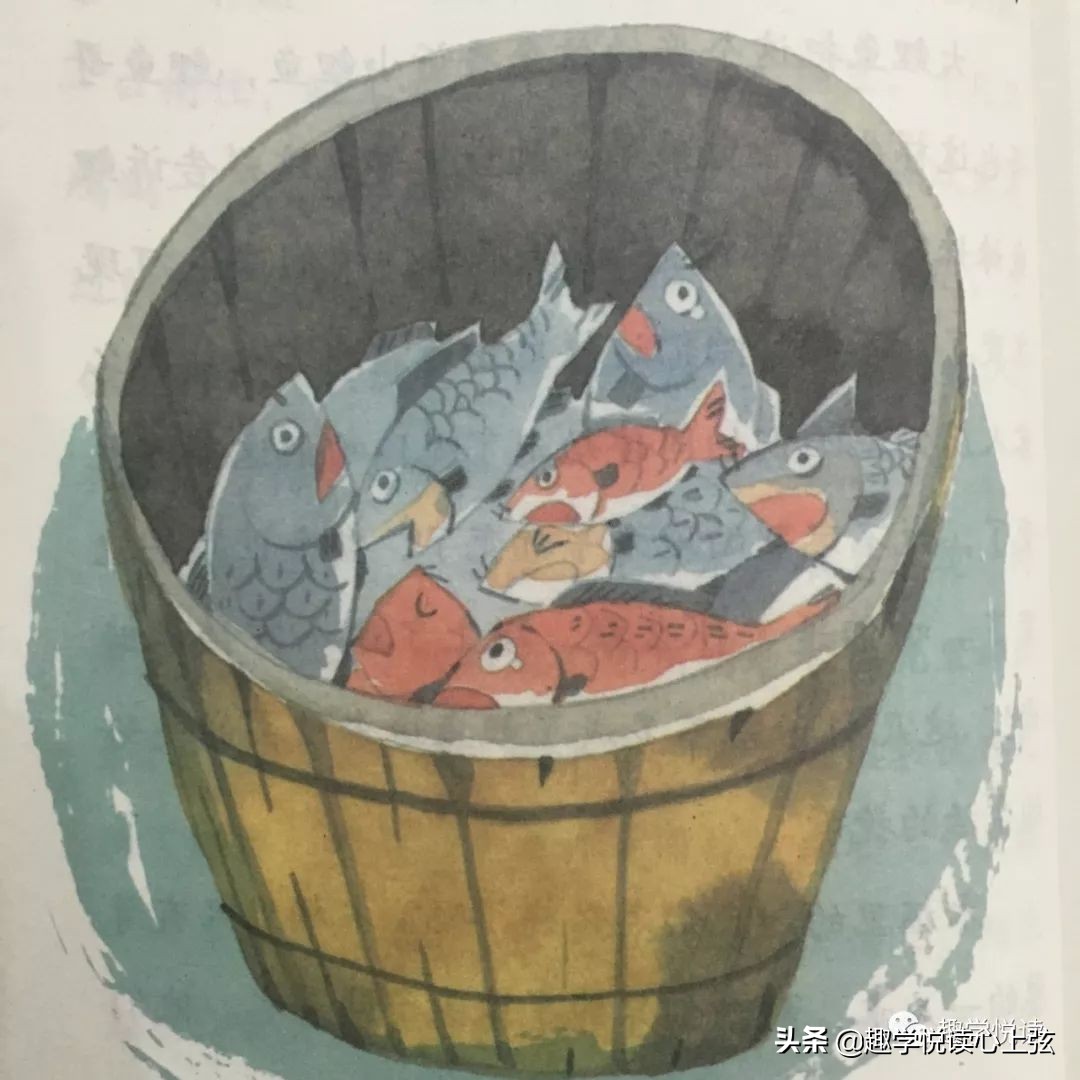 保定趣学,保定趣学悦读