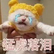 汇邦名都花园复式可以买吗,汇邦名都花园缺点