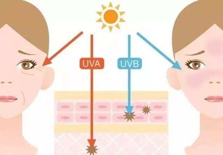 紫外线怎么杀蚊子,紫外线怎么杀真菌