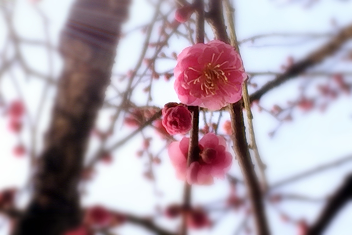 月下说金陵，晨起游南京