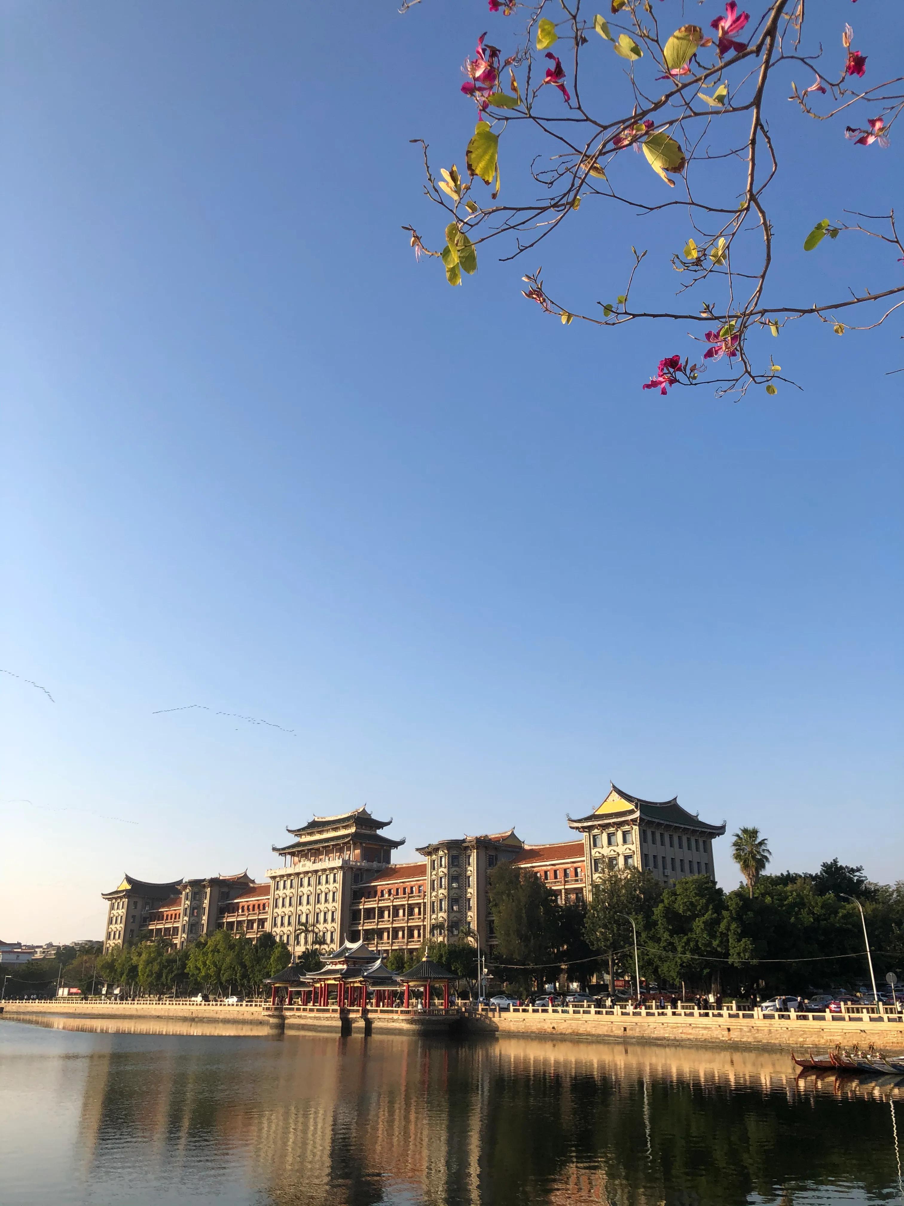 厦门集美学村龙舟池好玩吗,厦门集美学村龙舟池捞鱼