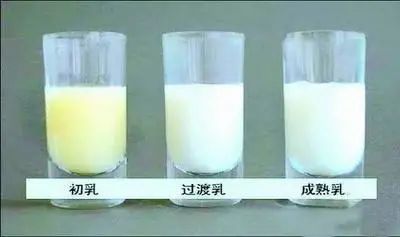 九个月宝宝腹泻需要停辅食吗,宝宝腹泻需要停辅食吗