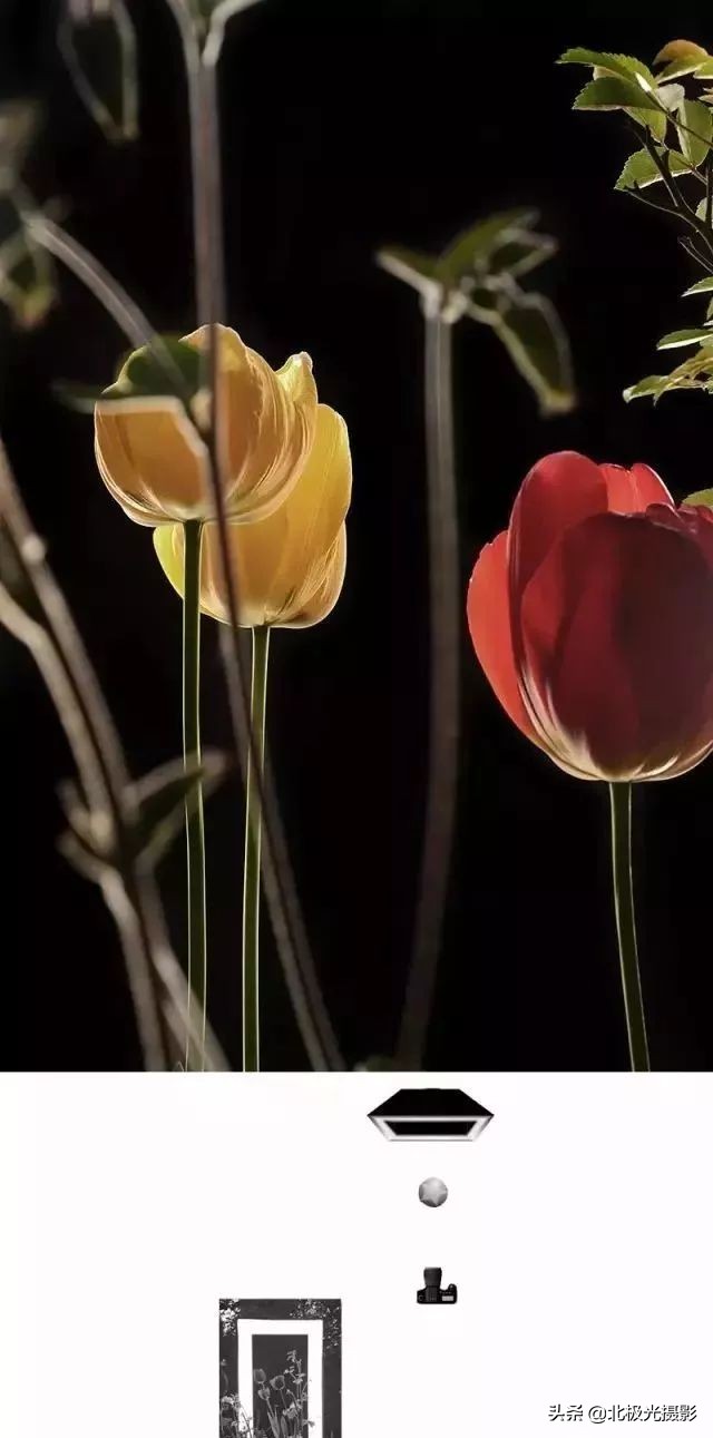 学习更多的摄影用光技巧,掌握摄影用光的技巧