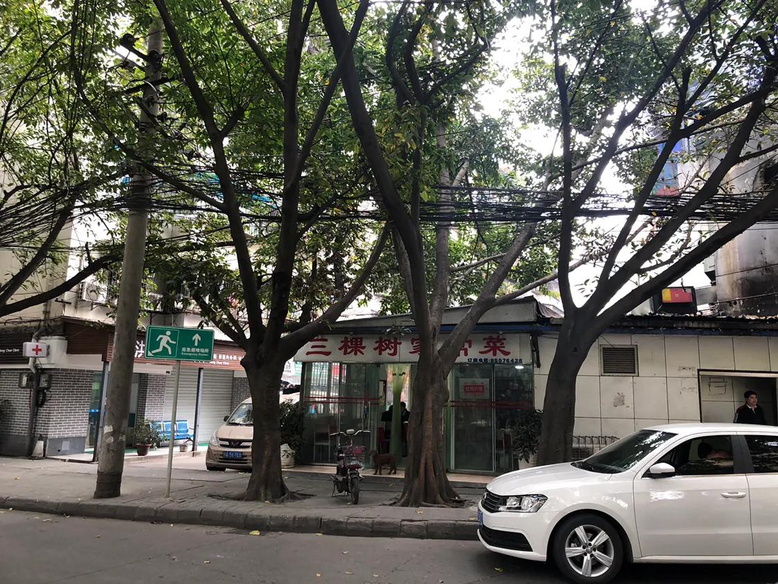 棕北棕南，这个曾比玉林桐梓林还牛的富人区，已经“过气”