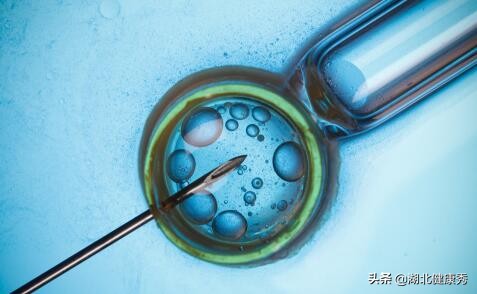 试管婴儿取空卵是什么原因,试管婴儿取的卵多配的少怎么回事