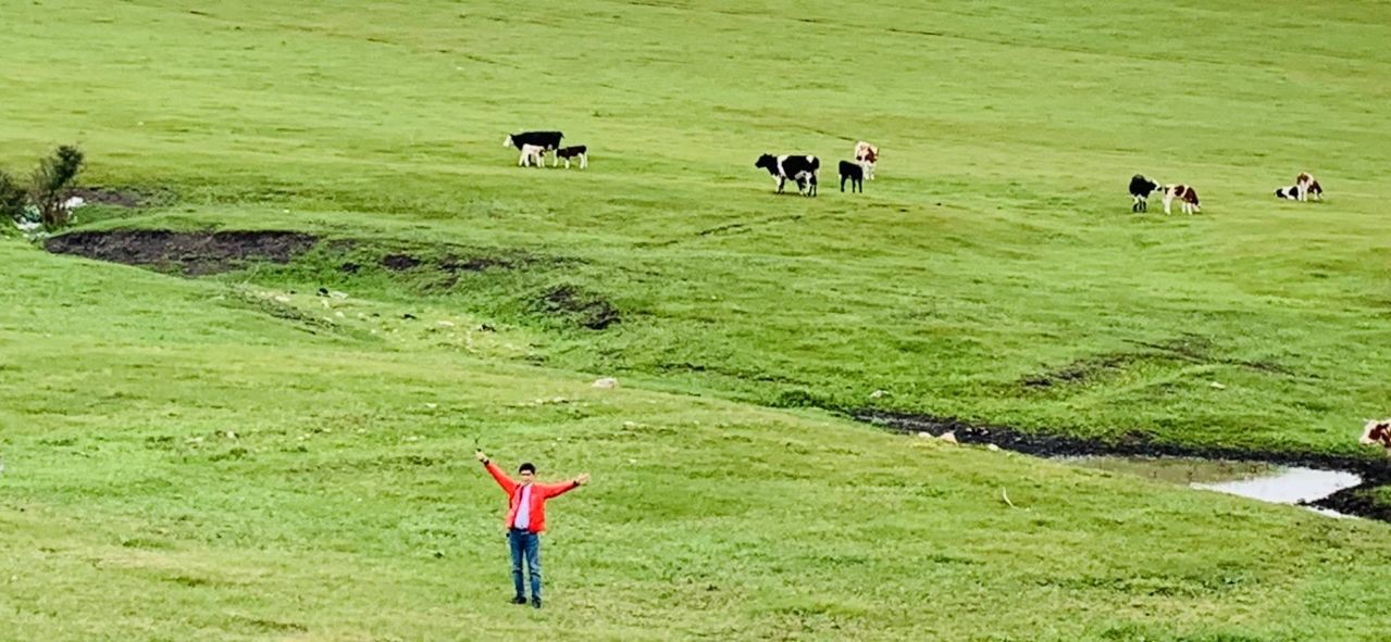 盛夏之旅美丽呼伦贝尔 (呼伦贝尔金秋之旅)