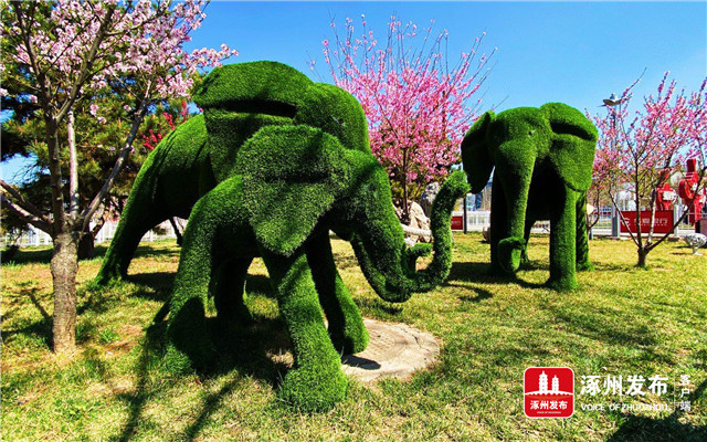 风正好扬帆奋进正当时宣传片,风正起扬帆正当时