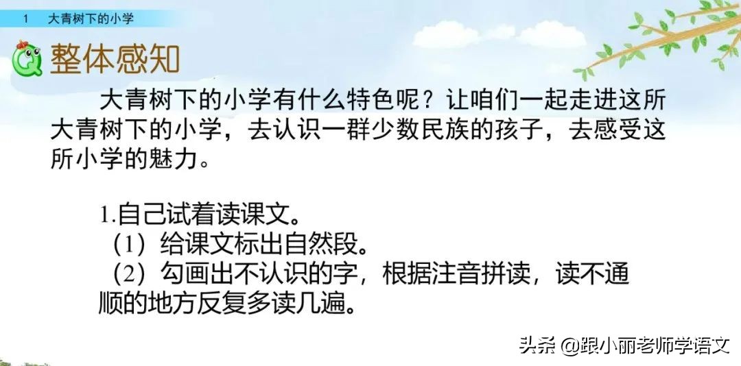 大青树下的小学重要背诵内容,大青树下的小学重点知识点