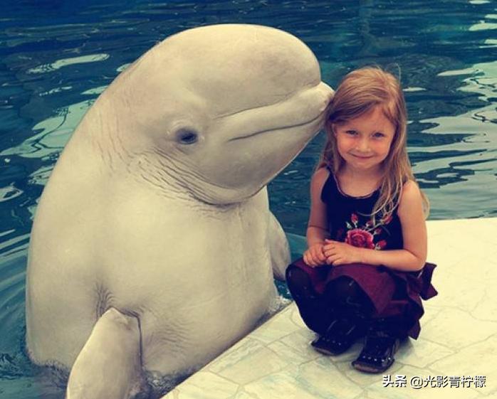 日影《生理酱》：实体化“大姨妈”见过没？