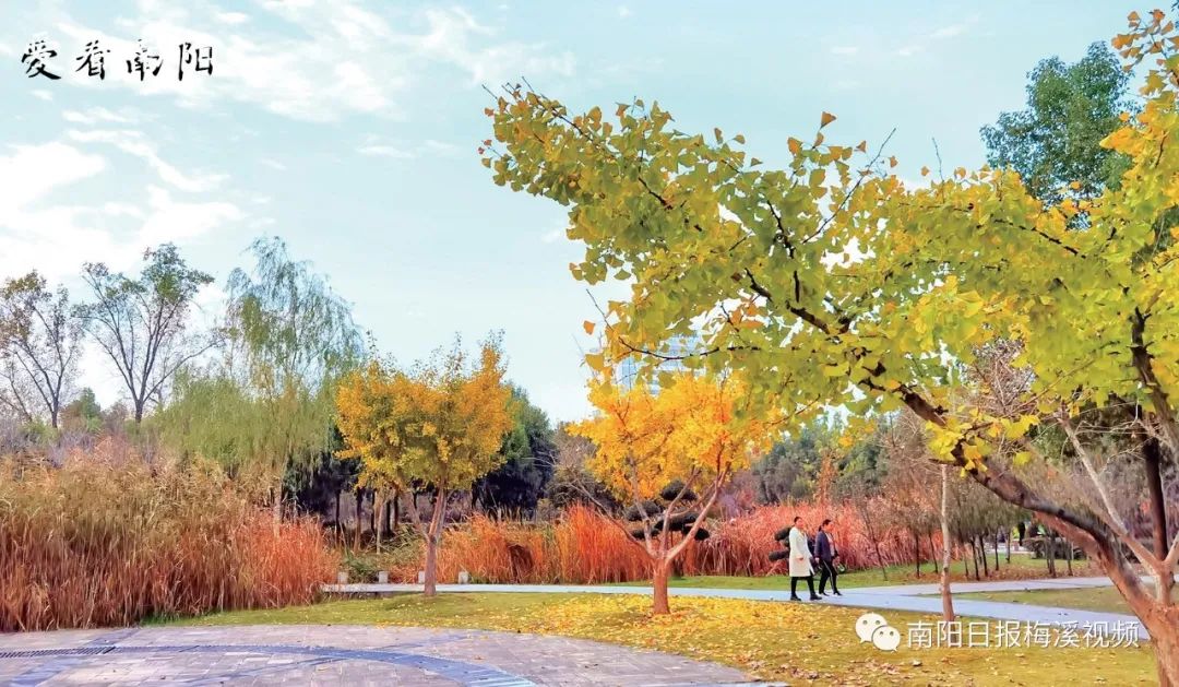 爱看南阳㉘初冬·暖阳依旧