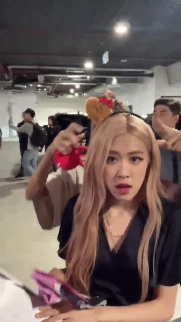 澳洲野玫瑰怎么来的,澳洲野玫瑰蓝玫瑰