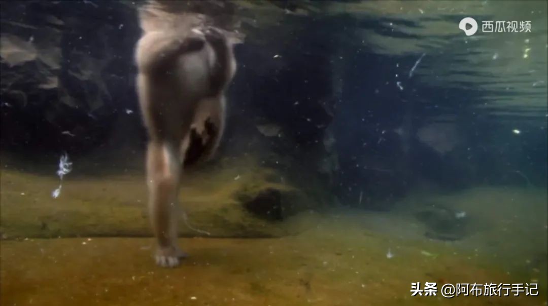 豆瓣9.1分看哭百万人,豆瓣评分9.0却很少有人看懂