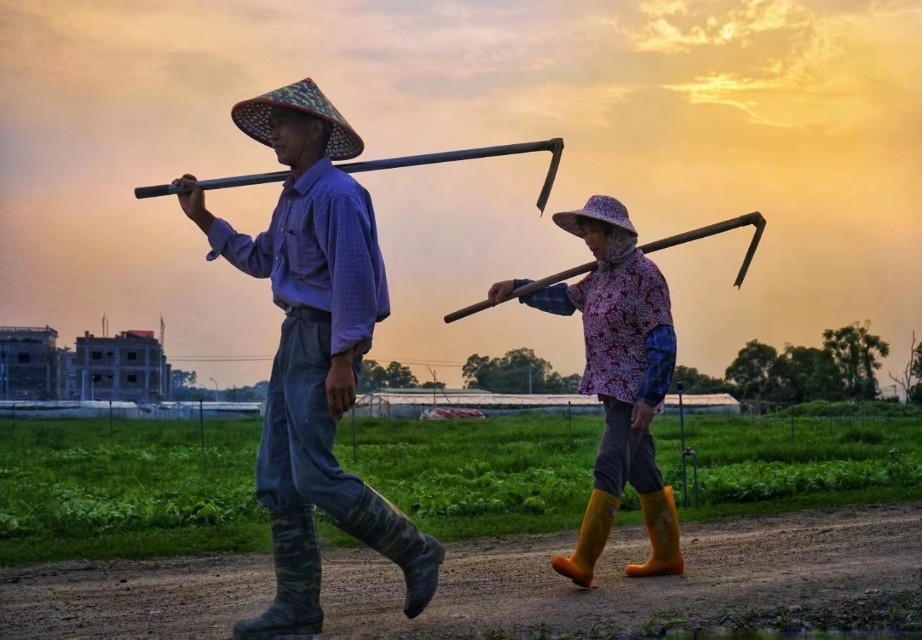 旅游中的回忆画,回忆生活照片的句子