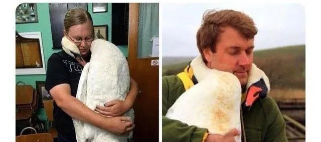 钱可以当尺子，乳头可以录指纹，奇奇怪怪的知识太多了！