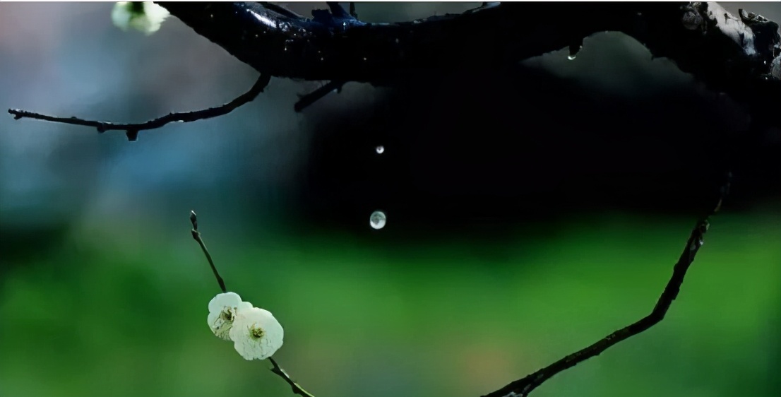 《无需讨好世界，且让自己欢喜》:做己喜欢之事，成己喜欢之人