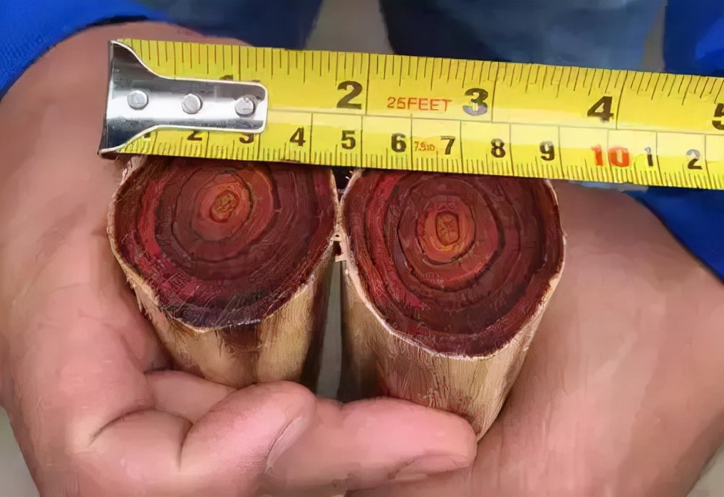 中国最贵的十种木材,价格最贵木材排行榜前十名