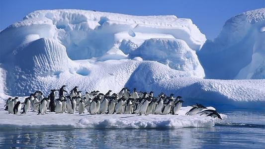 地球妈妈生病了故事,地球变暖冰川融化企鹅