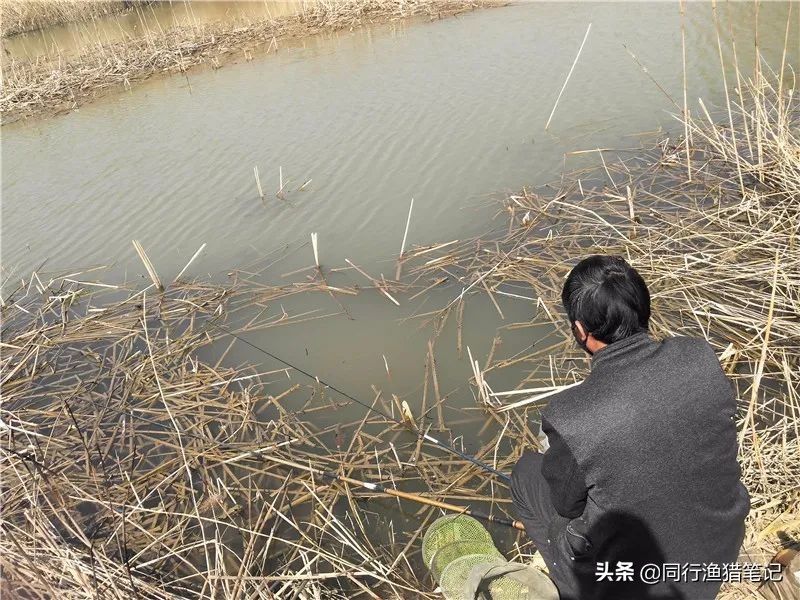 迎着倔强的西南风，抓耳挠腮与网工抢鱼，哪里说理儿去