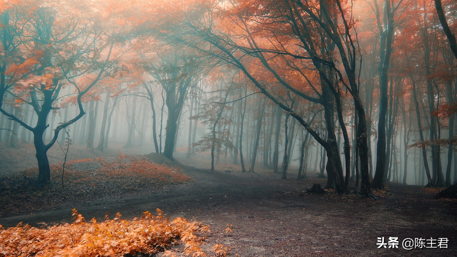 超美的风景壁纸,世界顶级绝美风景手机壁纸