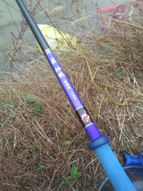 本汀神鹤和太极宗师,本汀神鹤鲫鱼竿