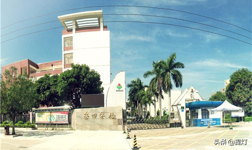 坪山区小学排名一览表,深圳坪山幼升小过来人建议