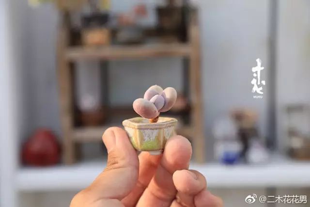 澶氳倝澶х浜屾湪,澶氳倝杈句汉浜屾湪